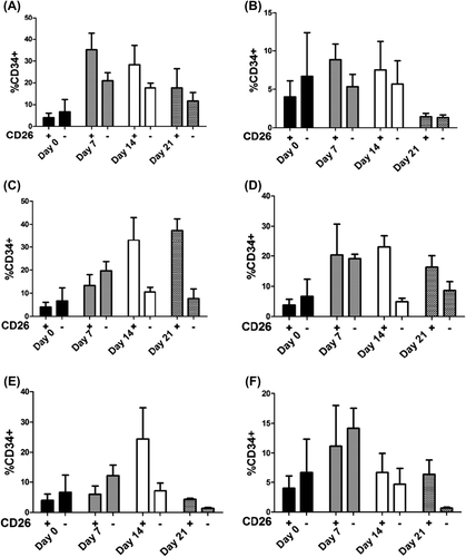 Figure 5. Evaluation of CD34+ CD26+and CD34+CD26− cells derived from cord blood mononuclear cells at different time points. The harvested cells evaluated by FACS and mean (SD) have shown using no cytokines (A), SCF+ FL+ IL2 + IL7+ IL15 (B), SCF+ FL (C), SCF+ FL+ IL2 (D), SCF+ FL+ IL7 (E) and SCF+ FL+ IL15 (F).