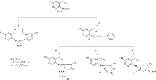 Scheme 2.  (i) 3-Chloropyridazine derivatives/acetic acid/M.W. (ii) Benzaldehyde/acetic acid/M.W. (iii) Acetic acid derivatives/M.W. (iv) Thiosemicarbazide/acetic acid/M.W. (v) Succinic anhydride/toluene/M.W.