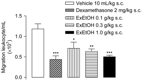 Figure 3.  Effect of the previous treatment with alcohol extract of Pterodon emarginatus stem bark (ExEtOH 0.1, 0.3, or 1.0 g/kg, s.c) on total leukocyte migration. The vertical bars represent the means ± SEM. Dexamethasone (2 mg/kg s.c) was used as positive control. *p <0.05, **p <0.01 and ***p <0.001.