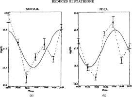 Figure 3 Temporal oscillations of superoxide dismutase in Wistar rats: (A) normal, (B) NDEA-treated, (C) NDEA+garlic-treated, (D) garlic-treated. Other details as in Figure 1.