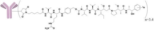 Figure 1. Structure of [3H]-MMAE-pinatuzumab vedotin (DAR of 3.4) and the location of the radiolabeled 3H on MMAE.