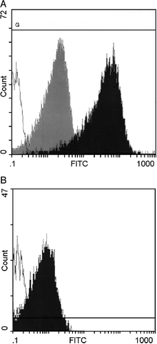 Figure 1. Interaction of liposomes and platelets detected by flow cytometry. A) CF‐liposomes interacted with washed platelets in buffer. Green fluorescence intensity is shown on the log scale of the x–axis; cell numbers on the y‐axis. The open histogram is the control platelet population; the dark histogram shows the level of fluorescence of the platelet population incubated with CF‐liposomes; the degree of fluorescence conferred by an equal amount of free CF is the gray histogram. B) Fluorescence of mouse platelets in plasma in response to FITC‐PE labeled liposomes is shown. The open histogram is the control platelet population; the dark histogram is the fluorescence of mouse PRP interacted with lipid‐labeled liposomes.
