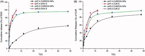 Figure 2. In vitro release profiles of DOX (A) and CUR (B) from nanoparticle formulation (CURDOX-NPs) or solution formulations (DOX-S or CUR-S) in pH7.4 PBS or pH5.0 acetate buffer.