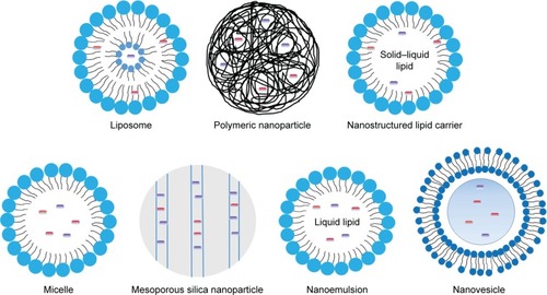 Figure 6 Schematic illustrations of several nanosystems for drugs.
