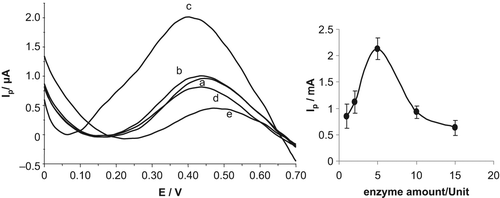 Figure 5. Differential pulse voltammetric responses of 100 μM GSH/50 μM H2O2 on the biosensor response at various amounts of enzyme: (a) 1.0 U, (b) 2.0 U, (c) 5.0 U, (d) 10.0 U, and (e) 15.0 U. Conditions: phosphate buffer solution system (50 mM, pH 7.0), potential range of 0 V and + 0.7 V. Inset: the curve showing the effect of optimum enzyme amount of GSH-Px(immob)/Pt-NP/GCPE.