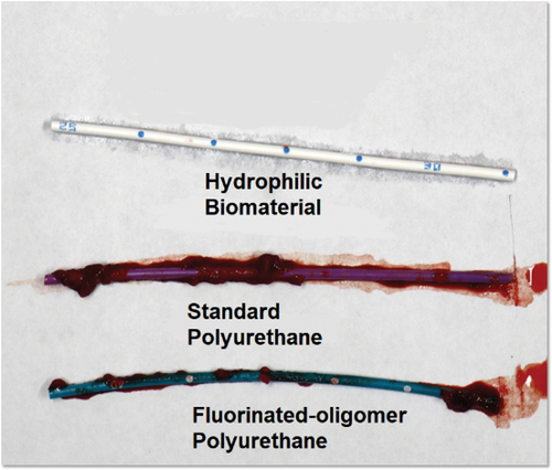 Figure 2. Representative images from in vitro blood loop model studies demonstrating differences in bacterial adhesion on HBM vs. polyurethane catheters. Presented at vascular access conference in 2023. Used with permission from Access Vascular, Inc.