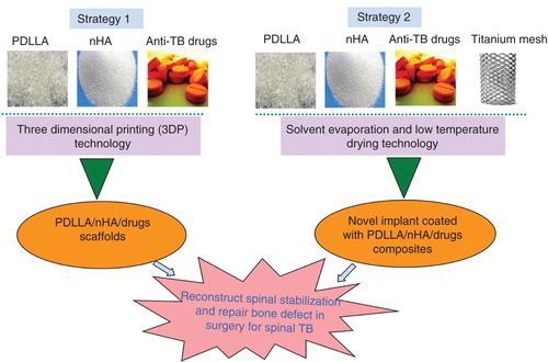 Figure 1. Two novel reconstruction strategies for spinal tuberculosis bacterium (TB) in surgery. One is combining anti-TB drugs, poly-DL-lactide (PDLLA) and nano-hydroxyapatite (nHA) to fabricate a novel three-dimensional porous scaffold via three-dimensional printing (3DP) technology; and the other is preparing a novel titanium mesh coated with drugs/PDLLA/nHA composites by solvent evaporation and low-temperature drying technology.