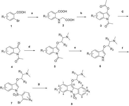 Scheme 1.  Reagents: (a) Glycine, water, NaOH; (b) DMF, NaOAc, Ac2O; (c) Na2SO3, MeOH/water; (d) THF, K2CO3, Me2NCH2CH2Cl, reflux; (e) NaOH, MeOH, reflux; (f) 2-Bromobenzenesulfonyl chloride, THF, KOH powder; (g) DMA, CH3COOK, P(PPh3)4Pd, 120°C.