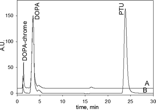 Figure 1.  The chromatograms of the reaction mixtures of the 3-(3,4-dihydroxyphenyl)-l-alanine (DOPA) oxidation catalyzed by phenoloxidase (PO) in the (A) absence and (B) presence of phenylthiourea (PTU). Incubated mixtures contained 1 mM DOPA, 20 U/mL PO and 1 mM PTU (in the mixture B) in 50 mM phosphate buffered saline (PBS) pH 7.4. Incubation time was 50 min.