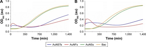 Figure 2 Bacterial growth curves (N=3).Notes: Addition of (A) 250 μg/mL and (B) 500 μg/mL of AuNSTs, AuNFs and AuNSs to S. aureus. OD592 measured for 24 h at 2-minute intervals, mean values plotted. The control with only bacteria is denoted as Bac.Abbreviations: AuNST, gold nanostar; AuNF, gold nanoflower; AuNS, gold nanosphere; S. aureus, Staphylococcus aureus; OD592, optical density measured at 592 nm; au, arbitrary unit.