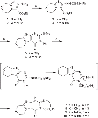 Scheme 1.  Synthesis of compounds 7–10. Reagents and conditions: (a) PhNCS, ethanol 80°C, 7h; (a) 1. 1N NaOH, EtOH, 2. MeI, room temperature; (c) ethylenediamine or 1,3-diaminopropane, 2-methoxyethanol, 150°C, 24 h.