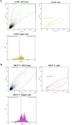 Figure 11. Representative flow cytometry traces characterizing A278 and MCF-7 cell lines after 24 h of incubation of NGs loaded with 0.005 µM DOX.