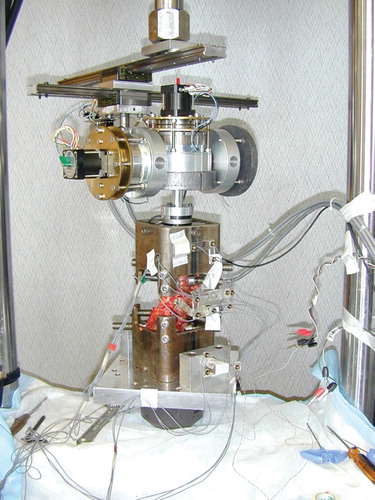 Figure 2. The test setup in the six-degree-of-freedom spinal simulator.