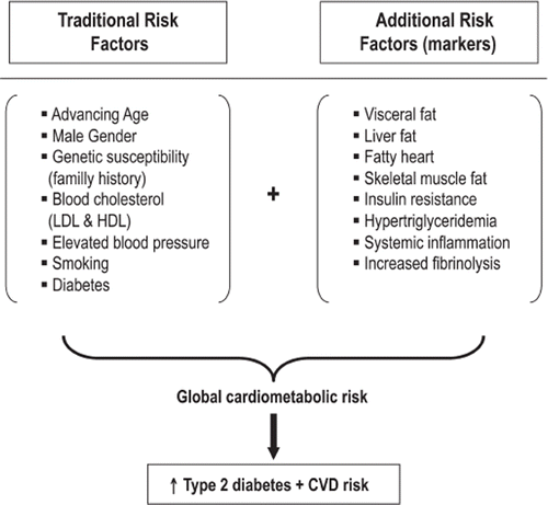 Figure 2. Schematic representation of the assessment of global cardiometabolic risk using traditional risk factors and emerging cardiovascular disease risk markers.