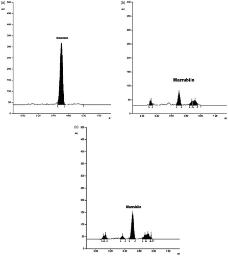 Figure 7. (a). Chromatogram showing AUC for the marrubiin. (b) Chromatogram showing AUC for the conventional extract (SME). (c) Chromatogram showing AUC for the extract obtained by MAE.
