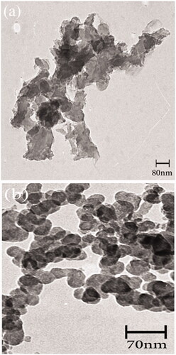 Figure 9. Transmission electron microscopy (TEM) images of (a) Fe3O4 nanoparticles (b) Fe3O4/PSt-g-PANi nanocomposite.