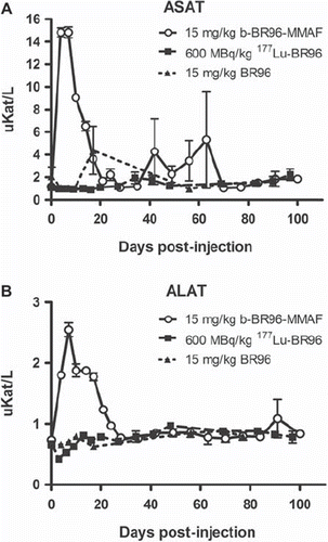 Figure 4. Serum levels of ASAT (A) and ALAT (B) in animals given b-BR96-MMAFconjugates (group 1), 177Lu-labeled BR96 (group 2), and unconjugated BR96 (group 3).