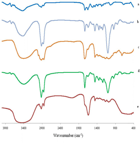 Figure 11 FTIR spectrum of (A) AKBA, (B) Tween 80, (C) Span 60, (D) Plain spanlastic and (E) the optimized AKBA-loaded SNVs.