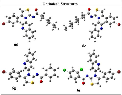 Figure 2. Optimised structures of potent compounds (6d, 6e, 6g and 6i).
