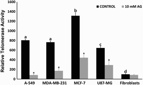 Figure 4. Changes of telomerase activity analyzed by the RQ-TRAP method in A-549, MDA-MB-231, MCF-7 and U87-MG cancer cell lines and MRC-5 normal fibroblasts treated with 0 (control) and 10 mg/ml amygdalin for 7 days, respectively. Values indicated the mean telomerase activity (mean ± SEM) of five replicates and the telomerase activity in control MRC-5 fibroblasts was considered as 100% for comparison with other cell lines. a, b, c and d indicate significant (P < .05) difference among untreated control cell lines, * indicates significant (P < .05) difference between control and 10 mg/ml amygdalin-treated cell lines, respectively.