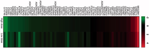Figure 8. Heat-map showing differentially regulated proteins in two exposure conditions high dose and low dose compared with control. First, the different CNT exposure conditions were compared with control. Thereafter, the common proteins were identified from the list of differentially regulated proteins. Figure shows fold change in log2 scale and the protein IDs. Green color indicates proteins that are downregulated in high dose and low dose compared with control, while red color represents upregulated proteins in high dose and low dose compared with control.