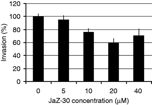 Figure 6. Inhibitory effect of JaZ-30 on the invasion of B16-GFP cells through Matrigel membrane. Cells, invading through Matrigel and Control membrane for 48 h, were quantified by counting live cells in the wells under the insert in fluorescent microscope. Percentage of invasive cells was calculated by a formula indicated in Materials and methods section. Results are presented as mean ± SD of triplicates, p < 0.05, statistically significant.