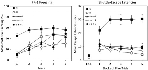 Figure 2. Percent freezing (left panel) and shuttle escape latencies (right panel) for five groups in Experiment 2. Two groups were exposed to traumatic shock stress (Group S) or simple restraint (Group R). Three other groups were pre-exposed to 3 d of restraint followed by traumatic shock. These three groups received 3 d of rest that either preceded training (Group —rrrS), followed training (Group rrr—S), or was interpolated with training (Group r-r-r-S). Shuttle-escape testing occurred 24 h later. Freezing was measured over five trials (FR-1) at the start of the shuttle-escape test. Impaired escape performance was assessed over the next 25 trials (FR-2).