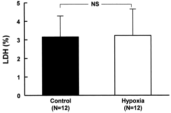 Figure 1. Effects of hypoxia on LDH release in MDCK cells. The cells were cultivated in culture media with glucose and were submitted to hypoxia and the bottles kept sealed for 24 h in the incubator. Data are mean ± SD of culture bottle compared to control group (NS = not significant).