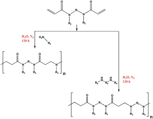 Figure 16. Reaction process for the synthesis of linear PAMAM. R1, R2, R3 and R4 can be any alkyl residues in order to incorporate ketals, acetals, carboxyl, amide and ester groups.