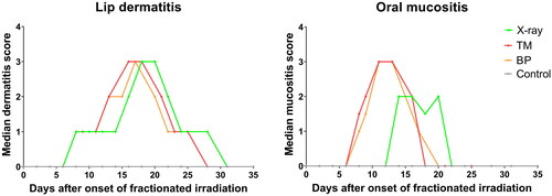 Figure 3. Timeline of median lip dermatitis score (A) and median oral mucositis score (B) in each treatment group after fractionated irradiation (X-rays n = 9, TM n = 6, BP n = 5, controls n = 14). The X-ray group received daily fractions on days 0–4 and 7–11, to a total dose of 65 Gy. The TM group received daily fractions on days 0–4 and 7–8, to a total dose of 45 Gy. The BP group received daily fractions on days 0–4 and 7, to a total dose of 41 Gy.