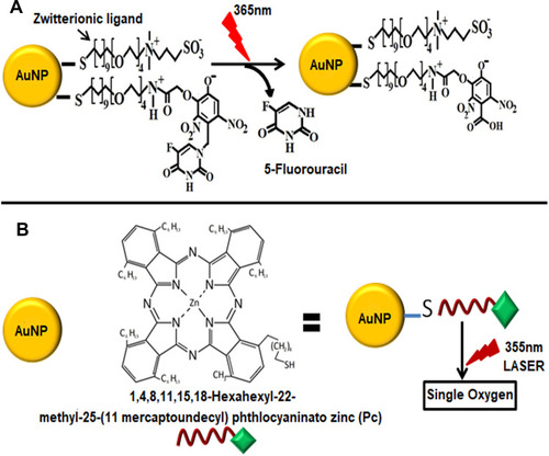 Figure 11 (A) Light-mediated drug release from AuNPs. Zwitterionic ligand integrates 5-fluorouracil (5-FU) to AuNPs through the Orthonitrobenzyl group which when irradiated with UV light with 365 nm wavelength undergoes photolytic cleavage of bond liberating 5-FU. (B) Release of singlet oxygen from phthalocyanines (Pc) conjugated AuNPs. When these conjugates were irradiated at 355 nm using a Q-switched Nd:YAG laser they generated singlet oxygen.