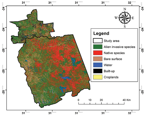 Figure 6. Output of the multispectral integration of Sentinel-1 and Sentinel-2 classification map at 10 m of geometrical resolution of the study area using object-based.
