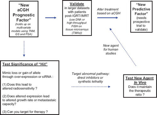 Figure 3. Flow diagram of authors’ approach to iterating “hits” from aCGH studies in prostate cancer into prognostic and predictive factors and using the same information to develop novel targeting strategies in prostate cancer treatment.