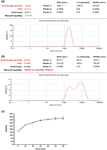 Figure 4. Cationic starch encapsulated bovine hemoglobin were dispersed in a PBS solution. Its size was measured by non-invasive back scatter in Malvern Nano-zs 90 (a) immediately, (b) 1 h later and (c) each 10 min.