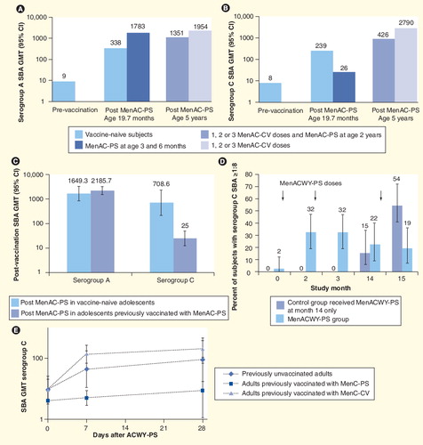Figure 2. Contrasting responses following repeated meningococcal C or A polysaccharide vaccine.SBA (rabbit complement) GMTs against serogroup A (A) and C (B) in Gambian infants post-vaccination with MenAC-PS vaccine at 19.7 months or 5 years of age Citation[55,62]. Group MenAC-PS had received prior MenAC-PS at 3 and 6 months; group MenAC-CV+PS had received 1, 2 or 3 prior MenAC-CV doses and MenAC-PS at age 2 years; group MenAC-CV had received 1, 2 or 3 prior MenAC-CV doses and MenAC-PS at year 5. (C) SBA (rabbit complement) GMTs against serogroups A and C in Saudi Arabian 10–29-year olds post MenAC-PS in naive versus previously MenAC-PS-immunized subjects Citation[54]. (D) Percentage of toddlers (from a study conducted in Canada) with serogroup C SBAs ≥1:8 (human complement) after MenACWY-PS Citation[24]. Group MenACWY-PS received MenACWY-PS at study months 0, 2 and 14. Vaccine-naive subjects received MenACWY-PS at month 14. (E) SBA (human complement) GMTs against serogroup C after MenC-PS challenge in naive, MenC-PS or MenC-CV immunized adults Citation[53].CV: Conjugate vaccine; GMT: Geometric mean antibody titer; MenAC: Meningococcal serogroups A and C; MenACYW: Meningococcal serogroup A, C, W-135 and Y; MenC: Meningococcal serogroup C; PS: Polysaccharide; SBA: Serum bactericidal antibodies.Data taken from Citation[24,53–55,62].