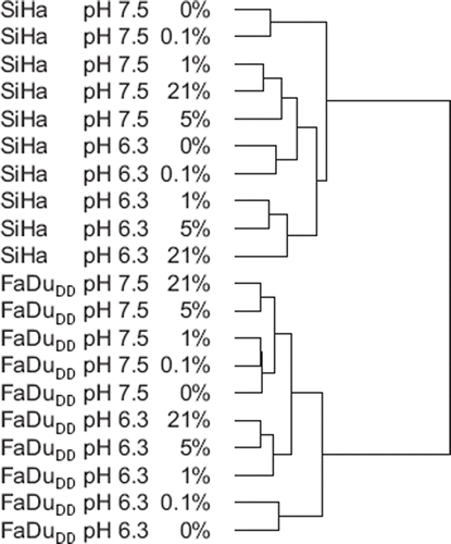 Figure 1. An unsupervised hierarchical clustering of normalized data from SiHa and FaDuDD cells treated with hypoxia and low pH.