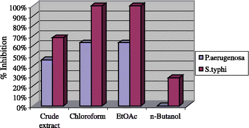 Figure 1 Antibacterial activity towards P. aerugenosa and S. typhi of crude extract and subsequent fractions of Andrachne Cardifolia Muell. The extracts were used at a concentration of 3 mg/mL of DMSO.