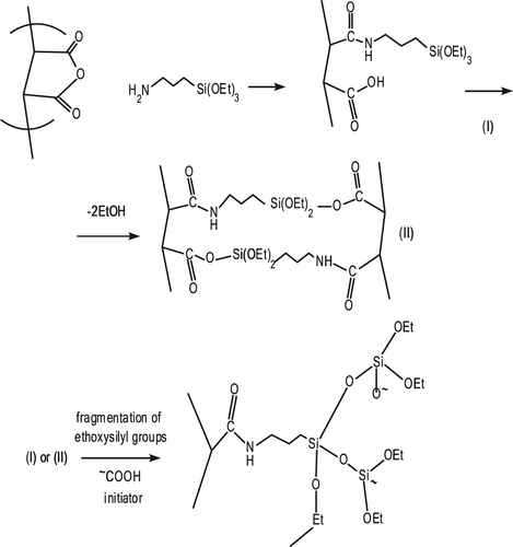Scheme 1. Representation of crosslinking reactions of anhydride-containing copolymer with APTS.