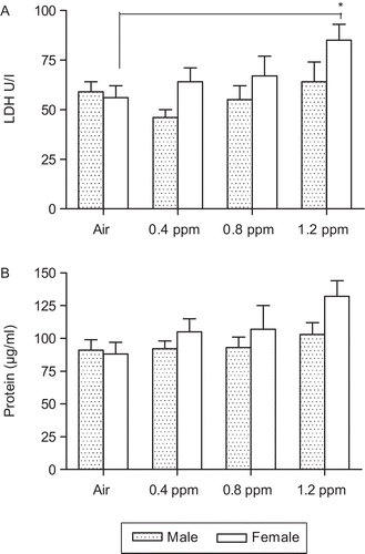Figure 3.  Inflammatory responses in non-allergic offspring born from dams exposed to O3. Bronchoalveolar lavage fluid (BALF) was assessed for (A) lactate dehydrogenase (LDH) and (B) protein at postnatal day (PND) 42. Data are the mean (±SEM) of 3–7 offspring for each sex per group in Experiments I (n = 3–6) and III (n = 6–7). *P < 0.05; significantly different from air group.