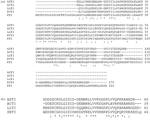 Figure 5. (a) Alignment between the sequence of the A-chain of ASTI with other comparative plant seed inhibitor sequences obtained from ClustalW search. Comparative sequences are obtained with Kunitz-type trypsin inhibitor A chain, ACTI-A (A. confusa), gi|299509|; Kunitz-type trypsin inhibitor A-chain, LLTI-A (L. leucocephala), gi|18202442|; trypsin inhibitor A-chain, BVTI-A (Bauhinia variegata), gi|15082208| and KTI A-chain, KTI-A gi|162138868|. (*), Identical sequences; (:), similarities of three or four amino acids. (b) Alignment between the sequence of the B-chain of ASTI with other comparative plant seed inhibitor sequences obtained from ClustalW search. Comparative sequences are obtained with Kunitz-type trypsin inhibitor B-chain, ACTI-B (A. confusa), gi|299508|; SBTI and Kunitz-type trypsin inhibitor B-chain, LLTI-B (L. leucocephala), gi|18202443|. (*), Identical sequences; (:), similarities of three or four amino acids.