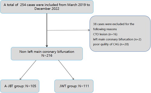 Figure 1. Our study consecutively enrolled 254 patients with bifurcation lesions at the Second Hospital of Tianjin Medical University, Tianjin, China (between March 2019 and December 2022). Exclusion criteria included left main stem lesion, chronic total occlusion and the bifurcation lesions were considered unsuitable for quantitative coronary angiographic analysis according to CAG. Finally, 216 cases with non-left main bifurcation lesions were defined as the study subjects.