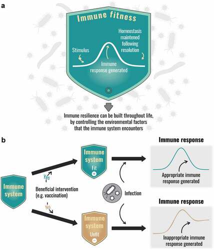 Figure 3. The concept of immune fitness: (a) Resilience of the immune system and immune fitness (b) Effect of extrinsic modulators of immune fitness.