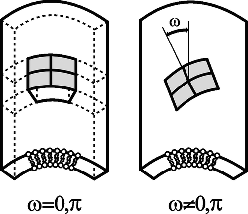Figure 9.  Schematic figure of different orientation of an anisotropic raft element (ARE) with intrinsic principal curvatures C1m>0 and C2m=0 in a barrel-section shaped membrane section with principal curvatures C1>0 and C2=0. Left: energetically favorable orientation. Right: a flexible ARE will be bent in the curvature field of the membrane – unfavorable orientation.