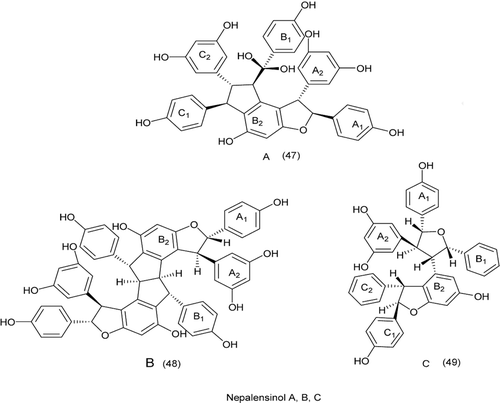 Figure 12.  Structures of nepalensinol-topo II inhibitor.