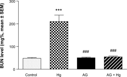 Figure 2 Effects of AG on elevated levels of BUN induced by Hg.