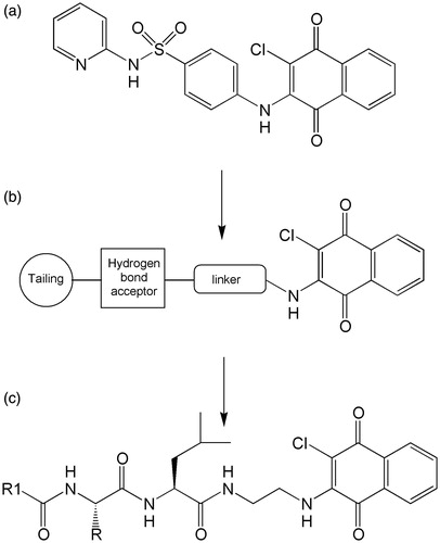 Figure 1. PI-083 (a), schematic structure of the naftoquinone non-peptidic compounds (b) and general structure of the naftoquinone dipeptide derivatives (c).