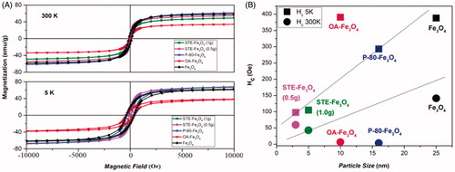 Figure 4. Magnetic measurements of iron oxide nanoparticles. (A) Magnetization versus magnetic field measured at 300 K and 5 K, (B) Coercivity as a function of particle size at 300 K and 5 K.