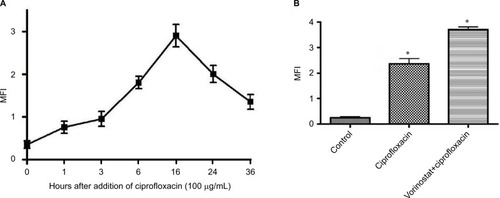 Figure 1 Ciprofloxacin-induced antibacterial action on Escherichia coli cells is preceded by a time-dependent reactive oxygen species (ROS) generation.