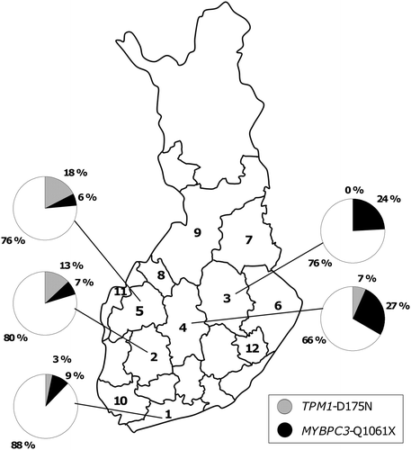 Figure 1. Prevalence of the mutations TPM1 (alpha-tropomyosin)-D175N and MYBPC3 (cardiac myosin-binding protein C)-Q1061X in the five largest study centers (Helsinki, Tampere, Kuopio, Jyväskylä, and Seinäjoki). Hospital districts are numbered (Citation1–12) corresponding to the numbers in Table II.
