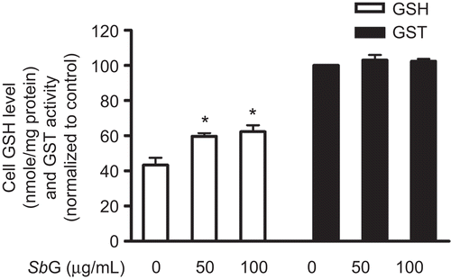 Figure 3.  Effects of SbG on cellular GSH levels and GST activity. HUVE cells were incubated with 50 and 100µg/ml SBG for 24 h. GSH contents were evaluated (*P < 0.05 vs the control). However, no significant GST activity changes were observed in the SbG treated when compared with the control group. Data were presented as mean ±SEM of the results of three independent experiments.